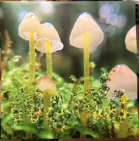 Neida - Slowing | Nehza Records (NZA001) - main
