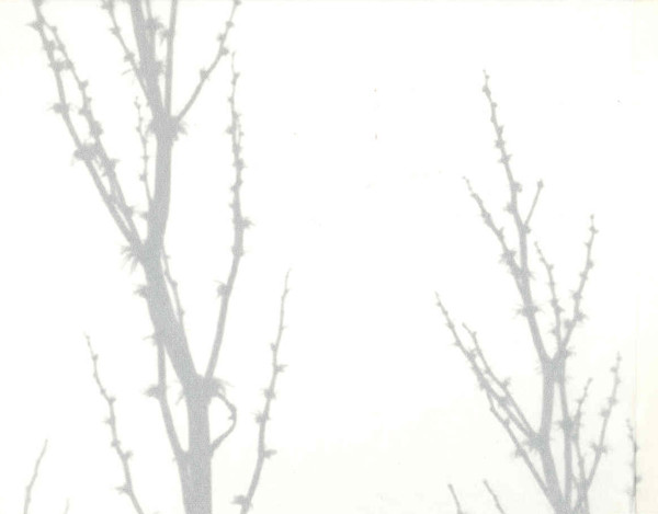 Sigur Rós - ( ) | FatCat Records (fatcd22) - 3