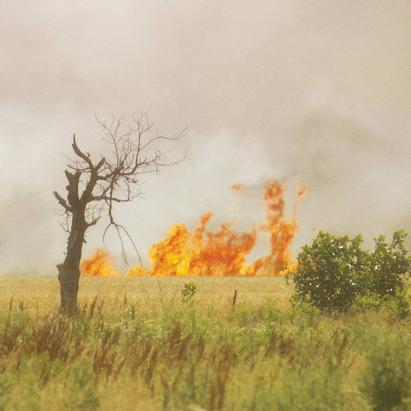 D'incise - Incendies | INSUB.records (insub.rec.LP03)