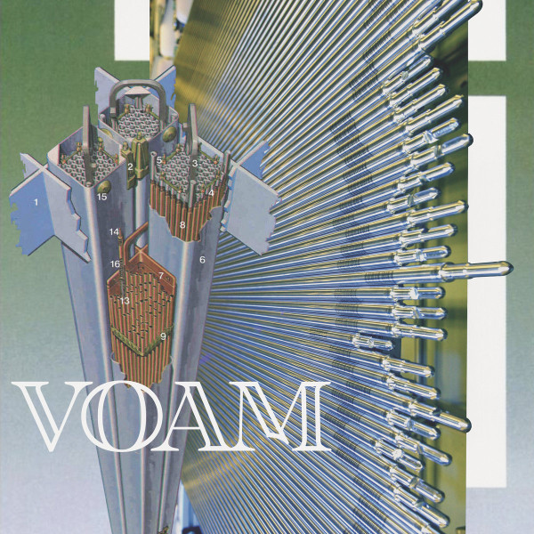 Regina Leather - Portraits Of A Collective Hallucination | Voam (VOAM005)