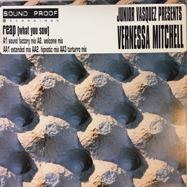 Junior Vasquez presents Vernessa Mitchell - Reap (What You Sow) | Vendetta Records (VENMX 36) - main