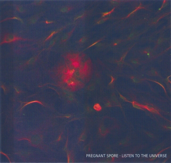 Pregnant Spore - Listen To The Universe | Cérebro Morto (CM009) - main