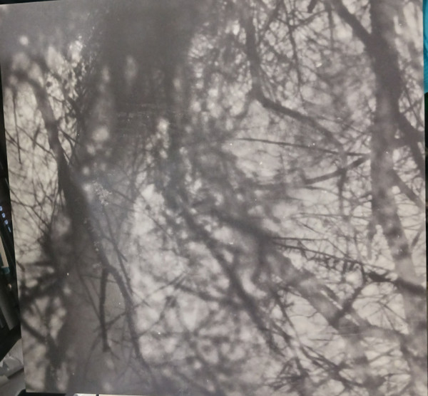 Grouper - Way Their Crept | Kranky (krank248) - 2