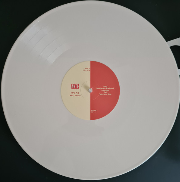 Andy Shauf - Wilds | Anti- (7871-1) - 2