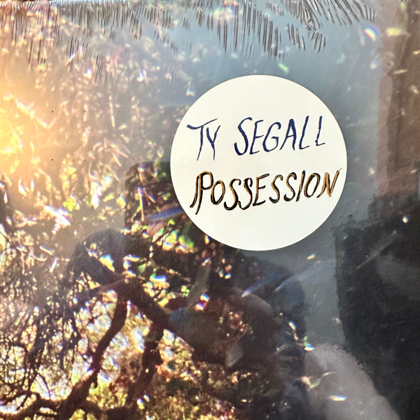 Ty Segall - Possession | Drag City (DC915) - 2 Ty Segall - Possession | Drag City (DC915) - 2