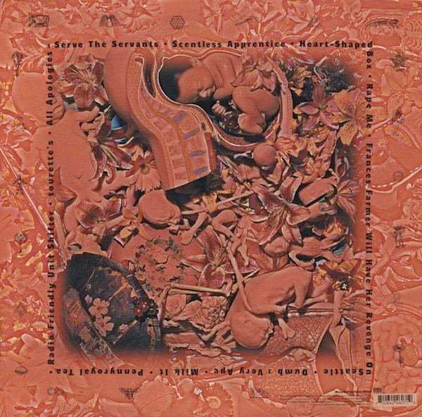Nirvana - In Utero | DGC (DGC-24607) - 2