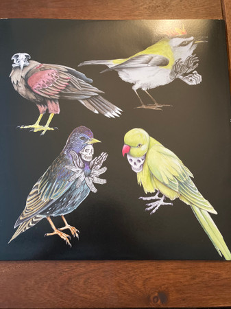 Jason Molina - Eight Gates | Secretly Canadian (SC203LP-C1) - 4
