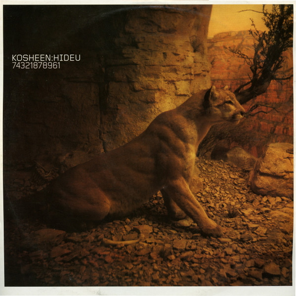 Kosheen - Hide U | Arista (74321878961)