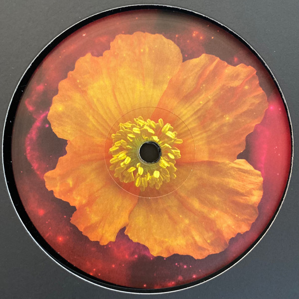 Clarence Wu - Venus Within | HUA3000 (FLOWER2) - main