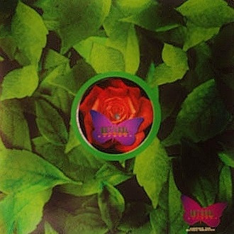 Misjahroon - Shake Your Ass | Natural Vibes Records (NV 003) - 2