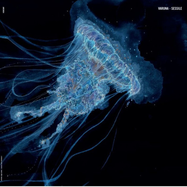 Varuna - Sessile | amenthia recordings (AMEN004) Varuna - Sessile | amenthia recordings (AMEN004)