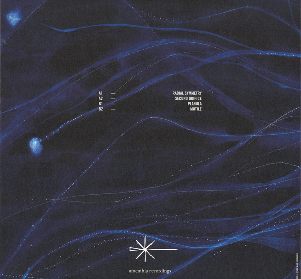 Varuna - Sessile | amenthia recordings (AMEN004) - 2 Varuna - Sessile | amenthia recordings (AMEN004) - 2