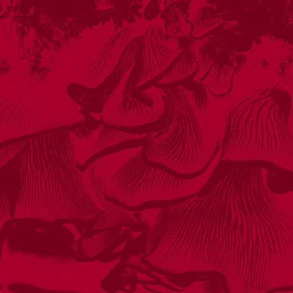 Maurizio Abate - Live At Elastico | Holidays Records (HOL-087) - main