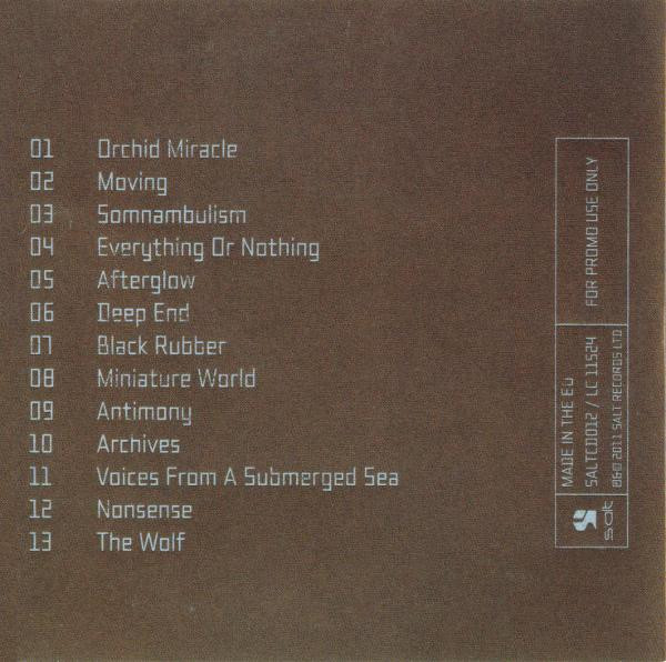 Robert Miles - Th1rt3en | S:alt Records (SALTCD012) - 2