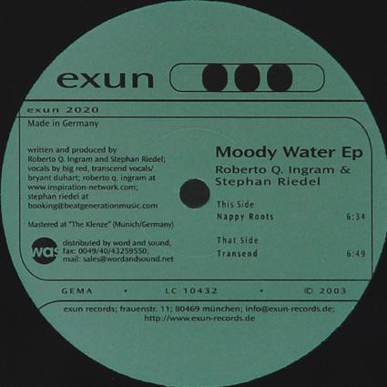 Roberto Q. Ingram & Stephan Riedel - Moody Water Ep | Exun (exun 2020) - main