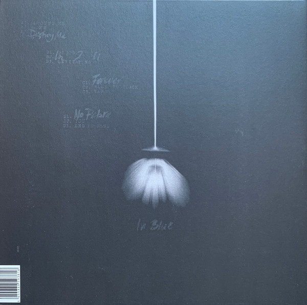 The Bug Ft. Dis Fig - In Blue | Hyperdub (HDBLP055) - 2