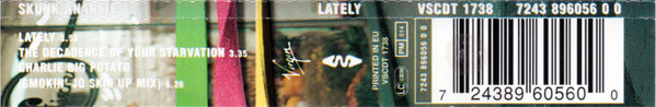 Skunk Anansie - Lately | Virgin (7243 896056 0 0) - 2 Skunk Anansie - Lately | Virgin (7243 896056 0 0) - 2