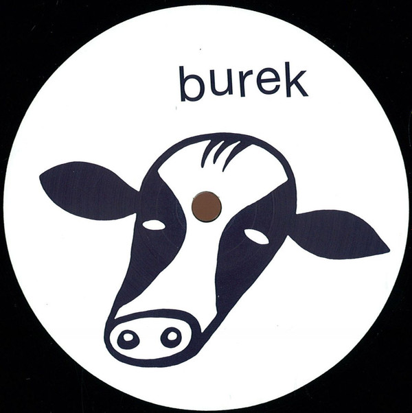 Aybee pres.  The Bazile Republic - Strange Visitors | Burek (BRK010)