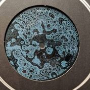 Anml Mthr - Cannonball EP | Flash Recordings (FLASH-X-013) - 2 Anml Mthr - Cannonball EP | Flash Recordings (FLASH-X-013) - 2