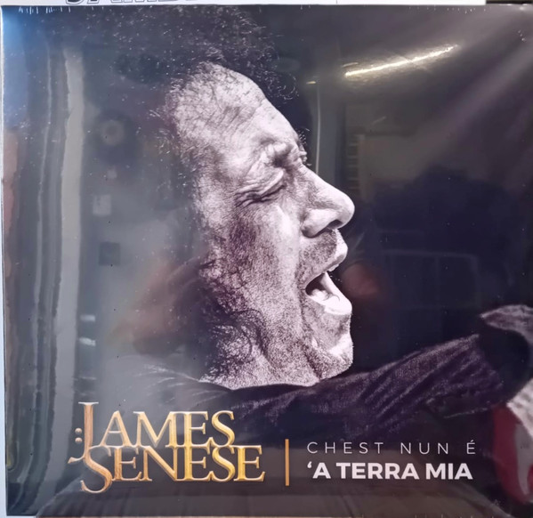 James Senese - Chest Nun è ‘a Terra Mia | Area Live (AL001074)