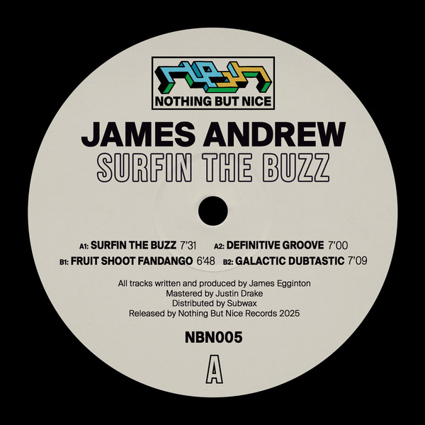 James Andrew - Surfin The Buzz | Nothing But Nice Records (NBN005)