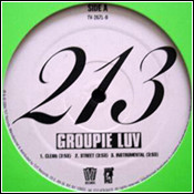 213 - Groupie Luv | TVT Records (TV-2671-0)