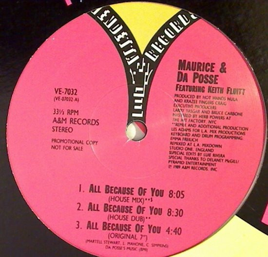 Maurice Joshua & Da Posse - All Because Of You | Vendetta Records (VE-7032) - main