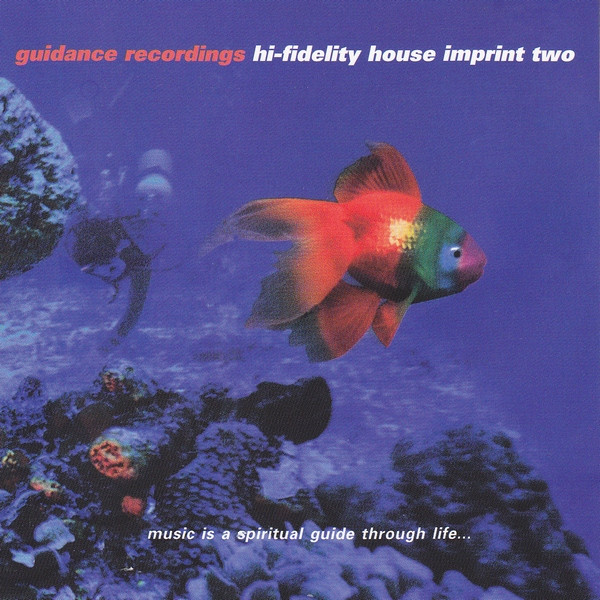 Various - Hi-Fidelity House Imprint Two | Guidance Recordings (gdrc_502)