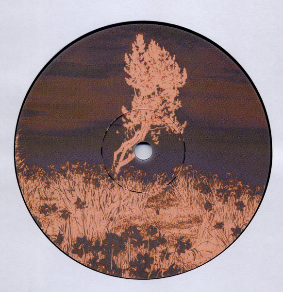 Boulderhead - Alien Groove Extractor | SITU Records (SITU-666) - 2 Boulderhead - Alien Groove Extractor | SITU Records (SITU-666) - 2