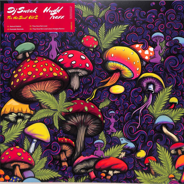 DJ Sneak - For The Soul Vol. 2 | Hudd Traxx (HUDD072) - main