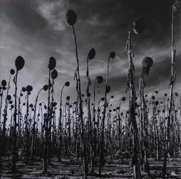Dead Can Dance - Anastasis | [PIAS] Recordings (PIASR311DLP)