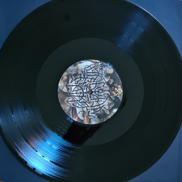 Lady Neptune - NOZ [Vinyl] | NIGHT SCHOOL (LSSN 082) - 3