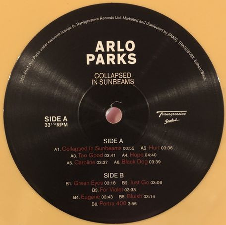 Arlo Parks - Collapsed In Sunbeams | Transgressive Records (TRANS509X) - 3 Arlo Parks - Collapsed In Sunbeams | Transgressive Records (TRANS509X) - 3