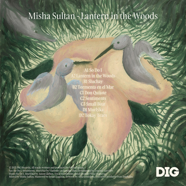Misha Sultan - Lantern In The Woods | DIG (DIGRECLP06) - 2