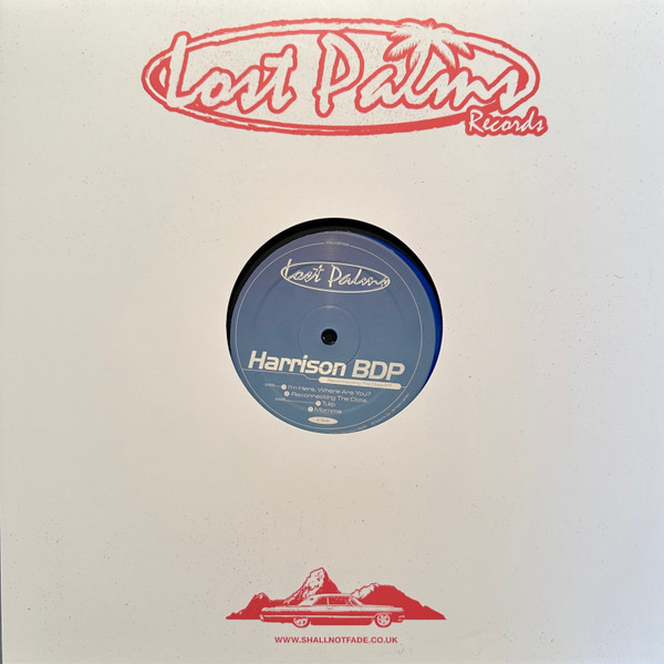 Harrison BDP - Connecting The Dots EP | Lost Palms (PALMS 068) - main