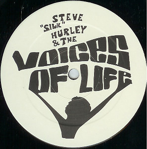 Steve "Silk" Hurley & The Voices Of Life - The Word Is Love | Tinted Records (TINT 002) - 2