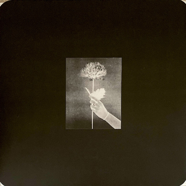 White Flowers - Day By Day | Tough Love Records (TLV139LP) - main White Flowers - Day By Day | Tough Love Records (TLV139LP) - main