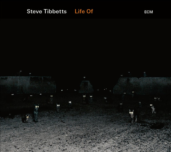 Steve Tibbetts - Life Of CD | ECM Records (ECM 2599) - main Steve Tibbetts - Life Of CD | ECM Records (ECM 2599) - main