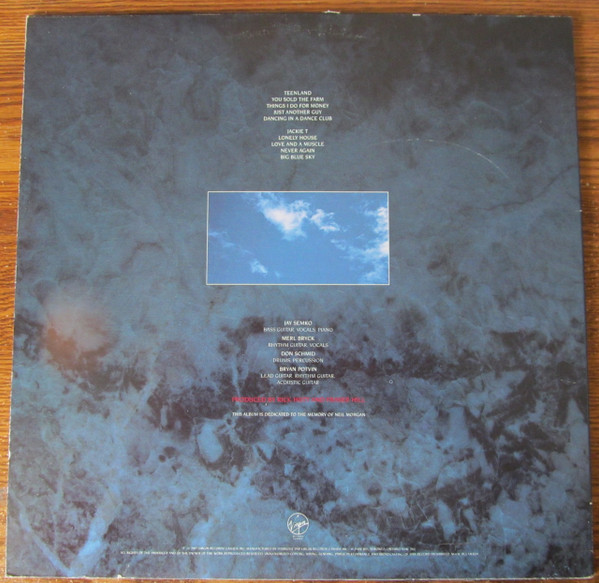 The Northern Pikes - Big Blue Sky | Virgin (VL 3001) - main