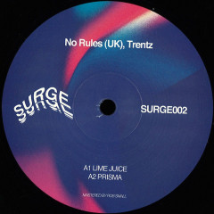 No Rules , Trentz - Surge 002 | Surge Recordings (SURGE002) - main