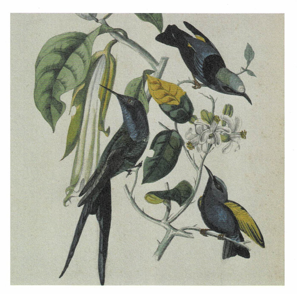 Susumu Yokota - Sakura | Leaf (BAY 13CD) - main