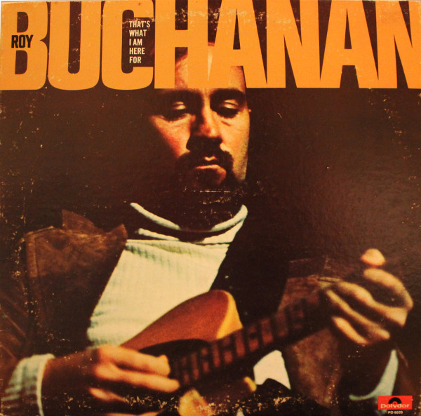 Roy Buchanan - That's What I Am Here For | Polydor (PD 6020)