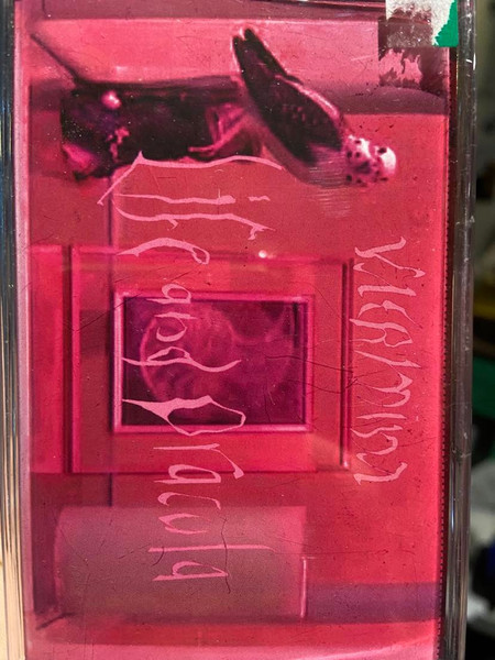 Vaermina - Life And Dracula | Degelite (none) - main