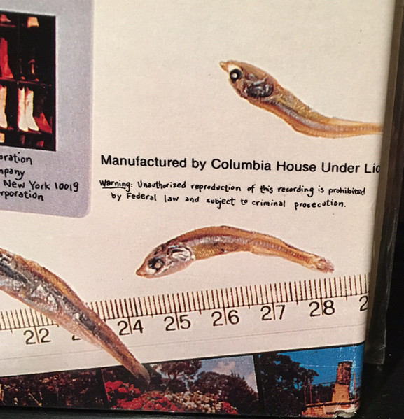 INXS - The Swing | ATCO Records (90160-1) - 3 INXS - The Swing | ATCO Records (90160-1) - 3