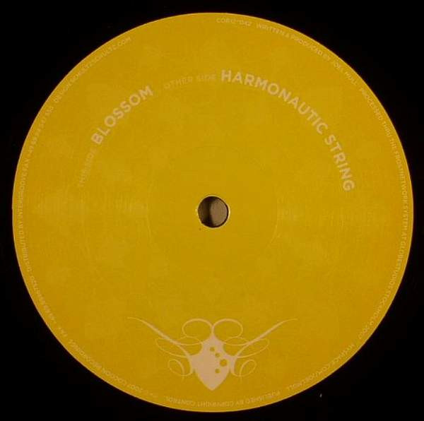 Joel Mull - Harmonautic String | Cocoon Recordings (COR12"042)