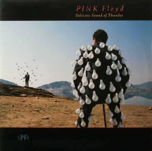 Pink Floyd - Delicate Sound Of Thunder | EMI (7914801) - main