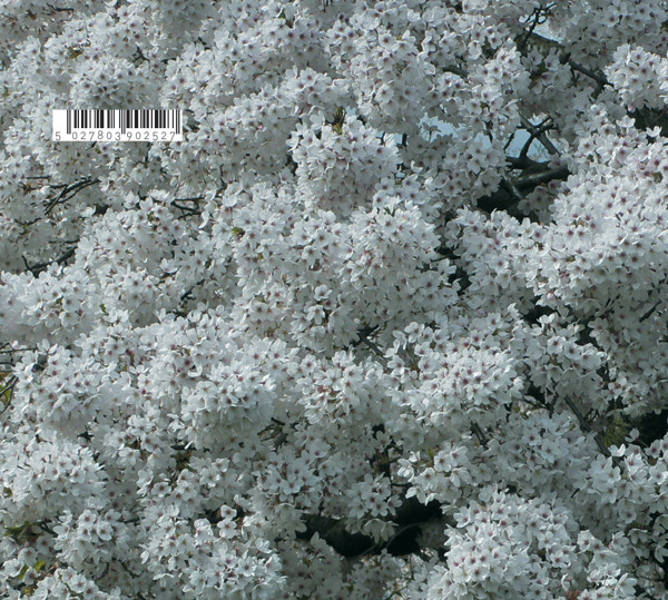 Various - Touch 25 | Touch (Tone 25) - 3