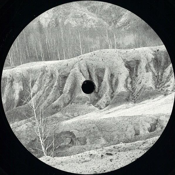 Cristi Cons / Frank Greiner - Family Jubilee II | Meander (MEANDER 20.2) - 3 Cristi Cons / Frank Greiner - Family Jubilee II | Meander (MEANDER 20.2) - 3