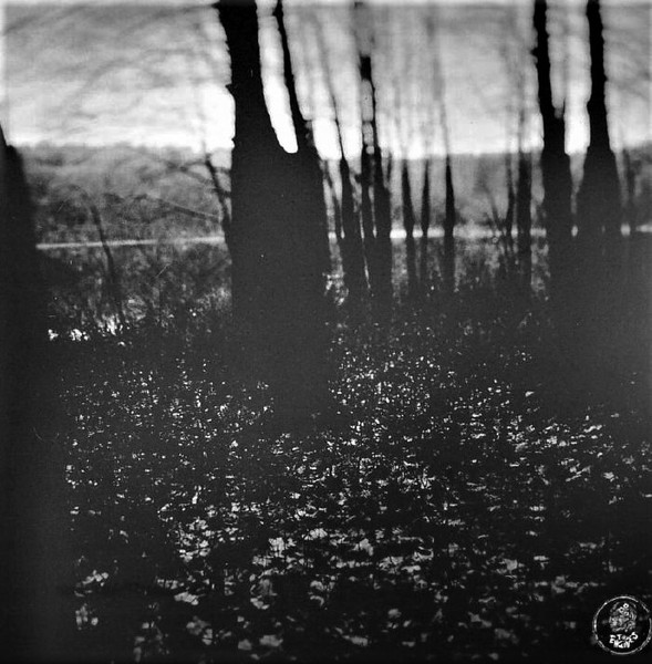 The Hotelier - It Never Goes Out | Tiny Engines (TE140) - 2