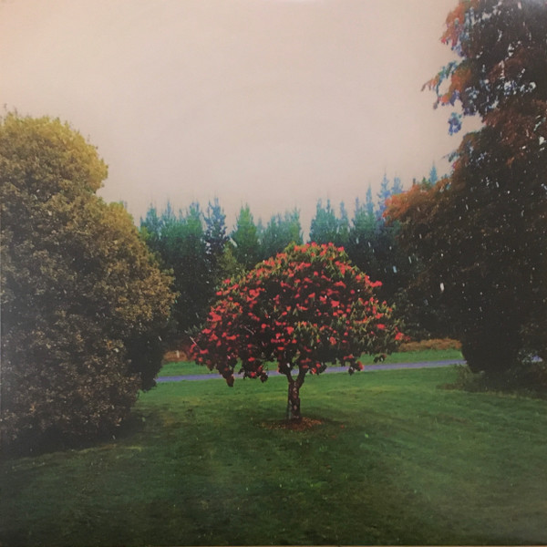 The Bats - Foothills | Flying Nun Records (FN593LP)